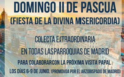 Colecta extraordinaria (visita del Papa León XVI a España)